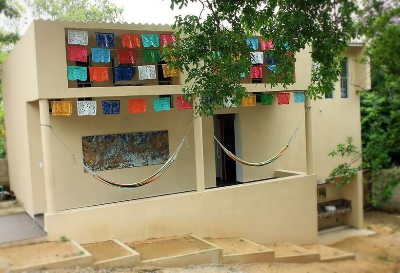 Color Hostel Palomino