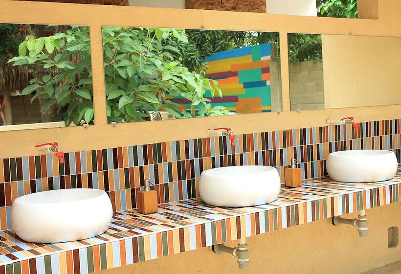 Color Hostel Palomino