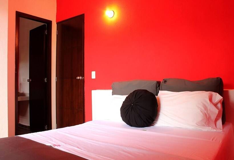 Color Hostel Palomino