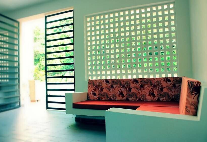 Color Hostel Palomino