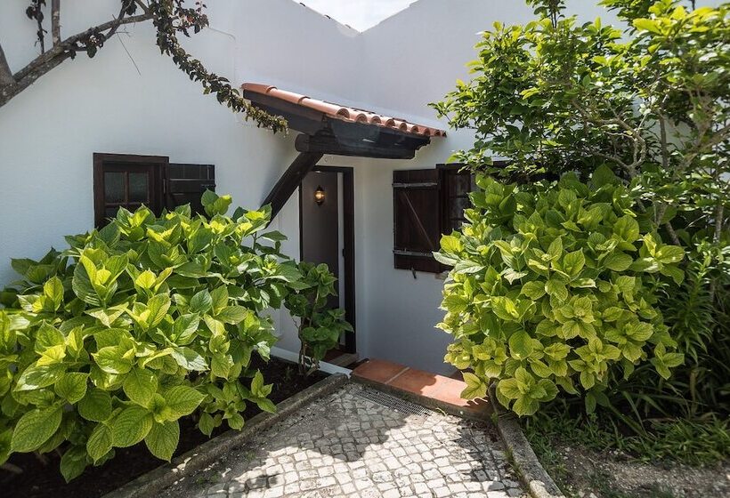 Ericeira Villa Surf Camp Hostel