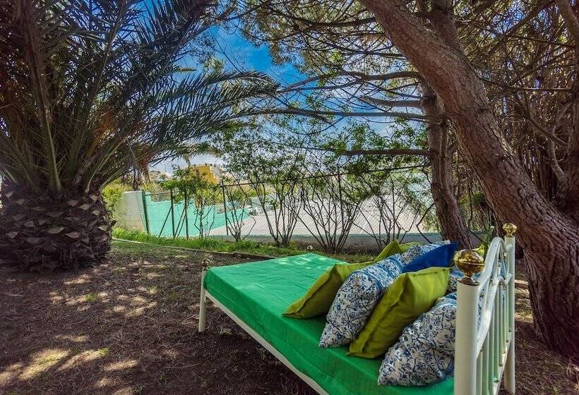 Ericeira Villa Surf Camp Hostel