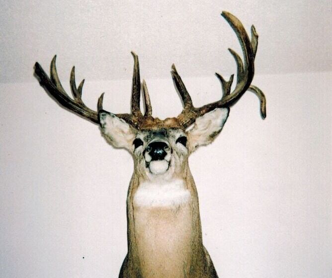 Hawkrock Wilderness Adventures