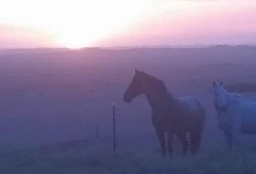 High View Family Cottages