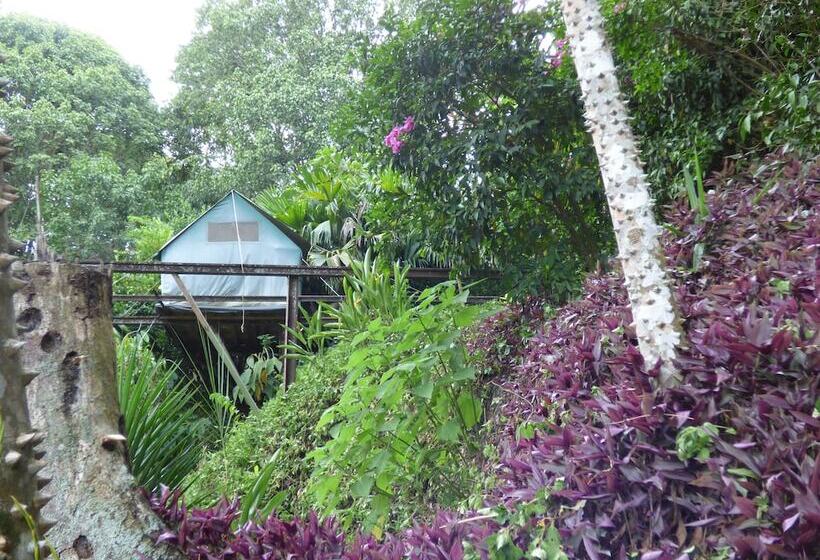 Hostal Campestre Chitota   Hostel