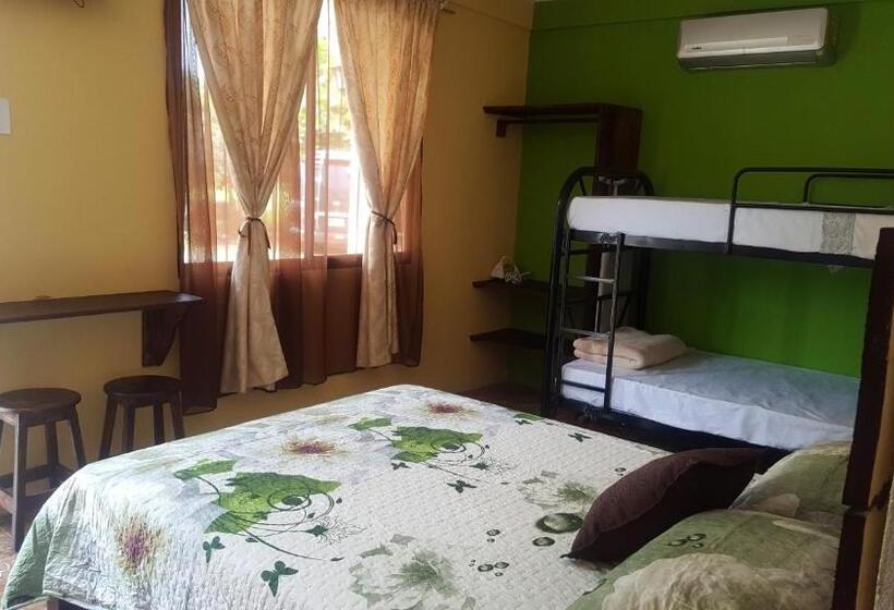 فندق فئة نجمة واحدة Hospedaje La Galerie