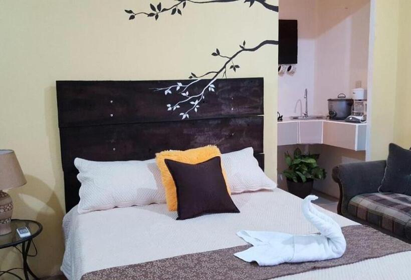 فندق فئة نجمة واحدة Hospedaje La Galerie