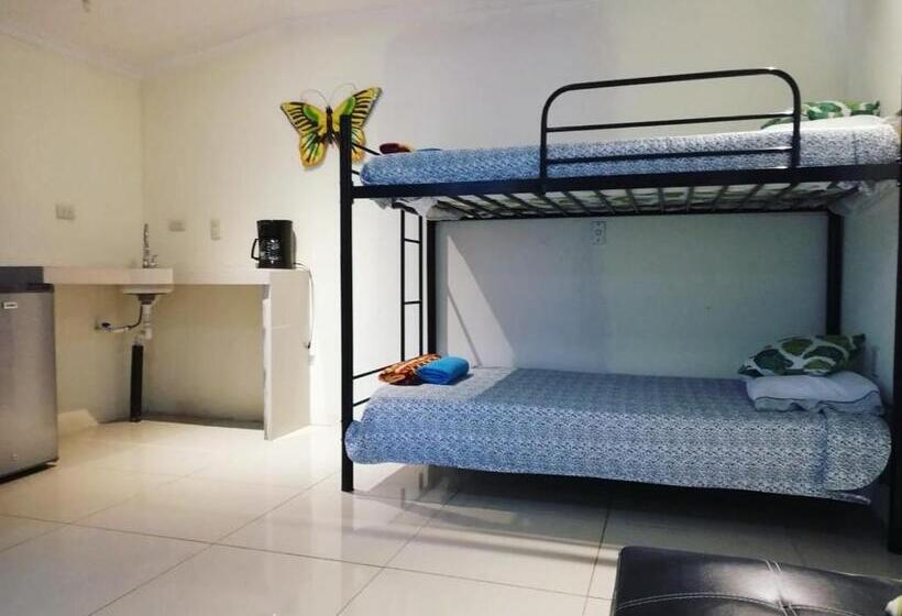 فندق فئة نجمة واحدة Hospedaje La Galerie