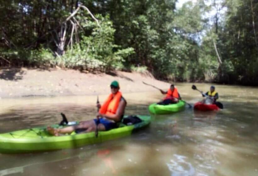 فندق فئة نجمة واحدة Hospedaje La Galerie