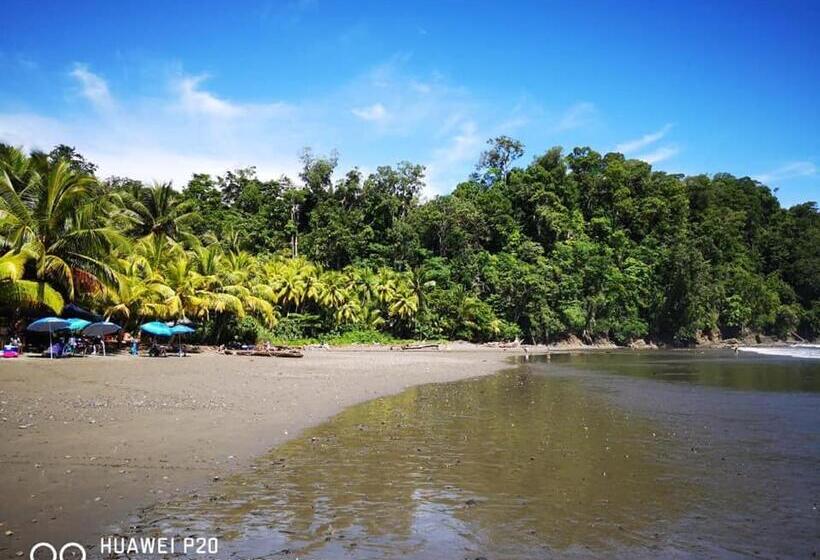 فندق فئة نجمة واحدة Hospedaje La Galerie