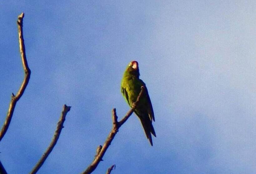 Hostal Y Restaurante Villa Mar