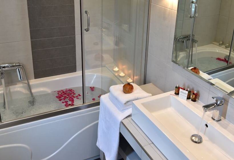 호텔 Alexandros Studios