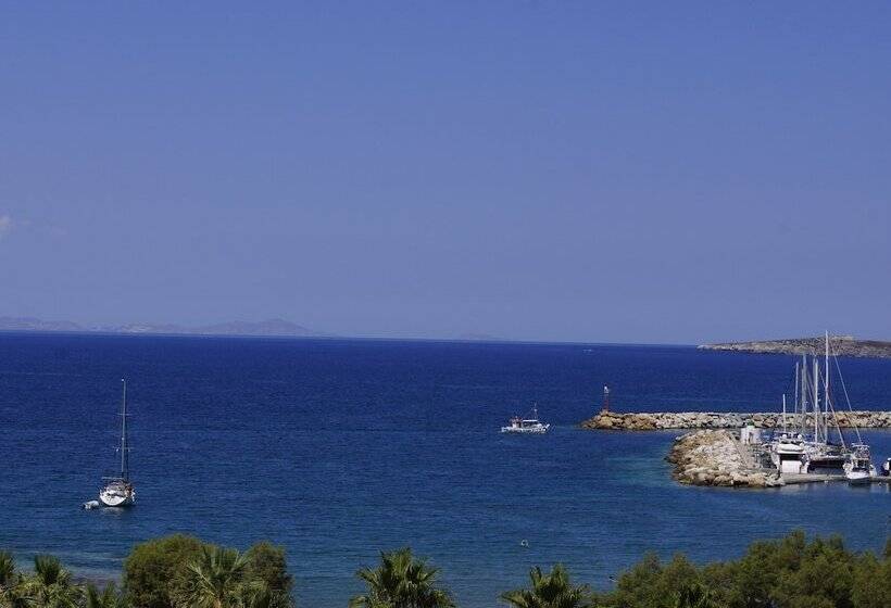 호텔 Alexandros Studios