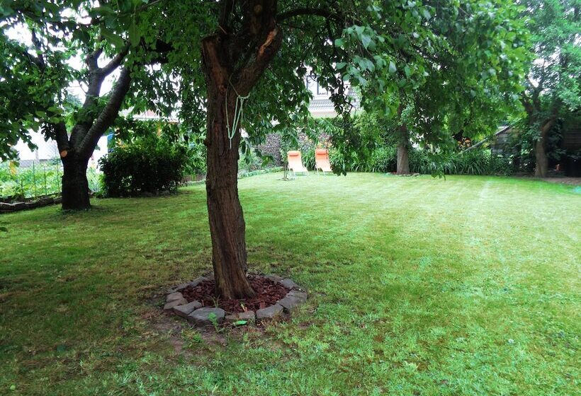 Отель Apartment Puell