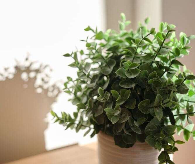 酒店 Auberge Du Dimanche