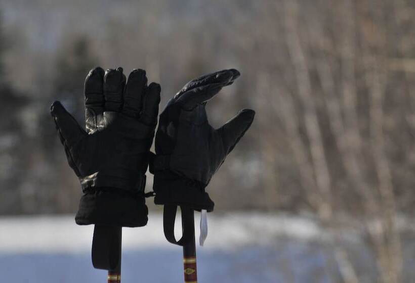 酒店 Auberge Du Dimanche