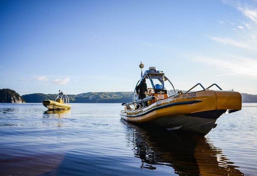ホテル Auberge Du Dimanche