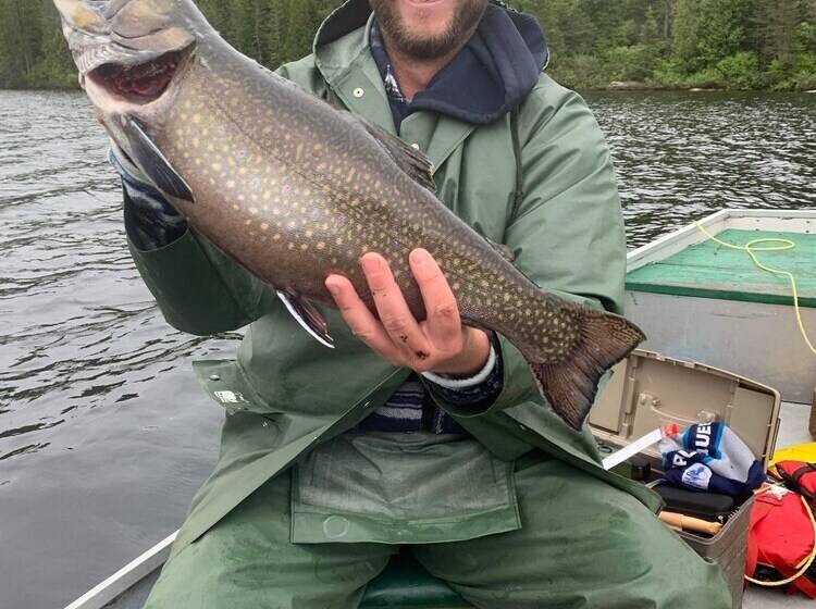 Отель Auberge La Taniere A Tadoussac