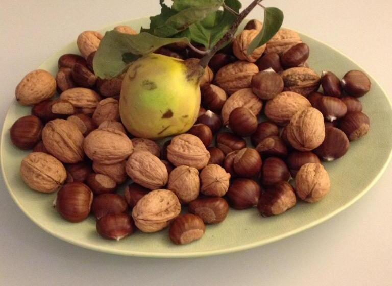 فندق B&b Pranzaira