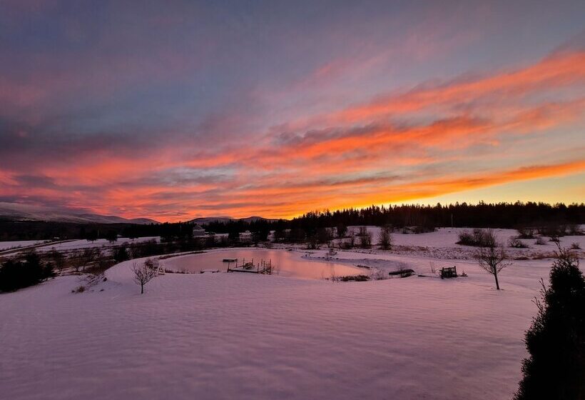 فندق Bear Rock Suites