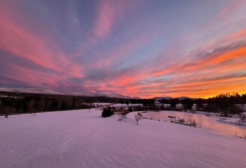 فندق Bear Rock Suites