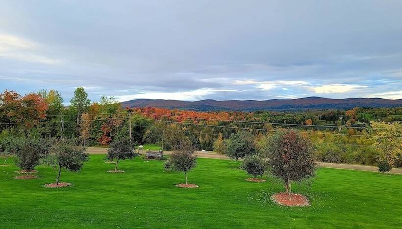 فندق Bear Rock Suites