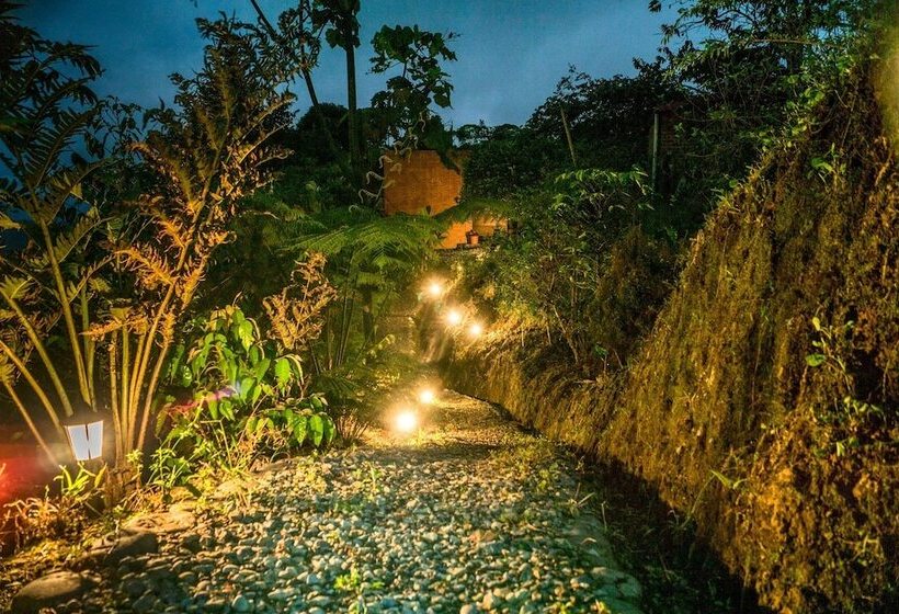 هتل Bellandia Lodge