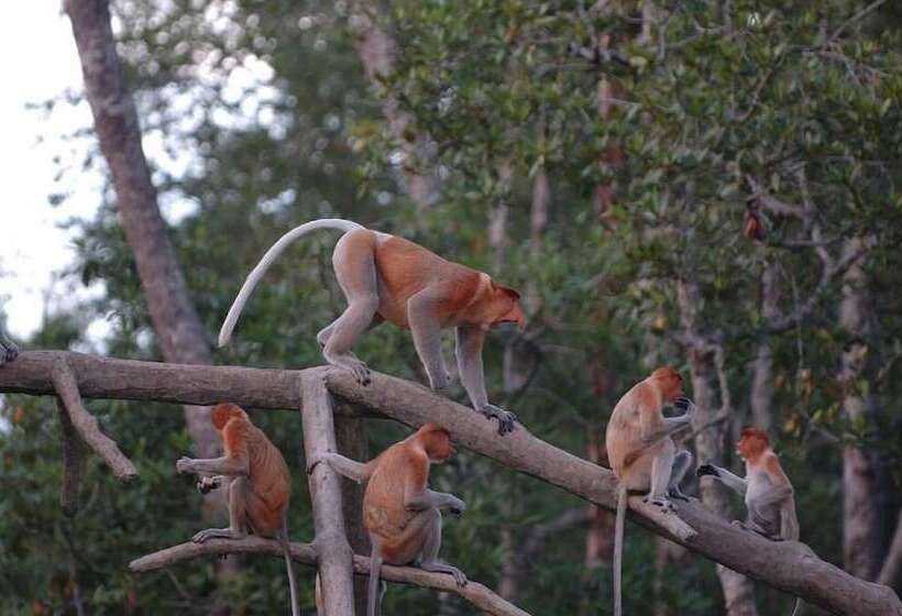 בית מלון כפרי Bilit Adventure Lodge