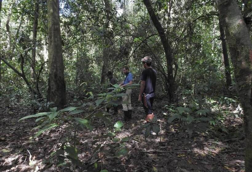 בית מלון כפרי Bilit Adventure Lodge