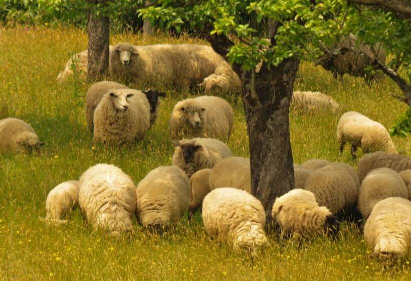 בית מלון כפרי Casa De La Oma