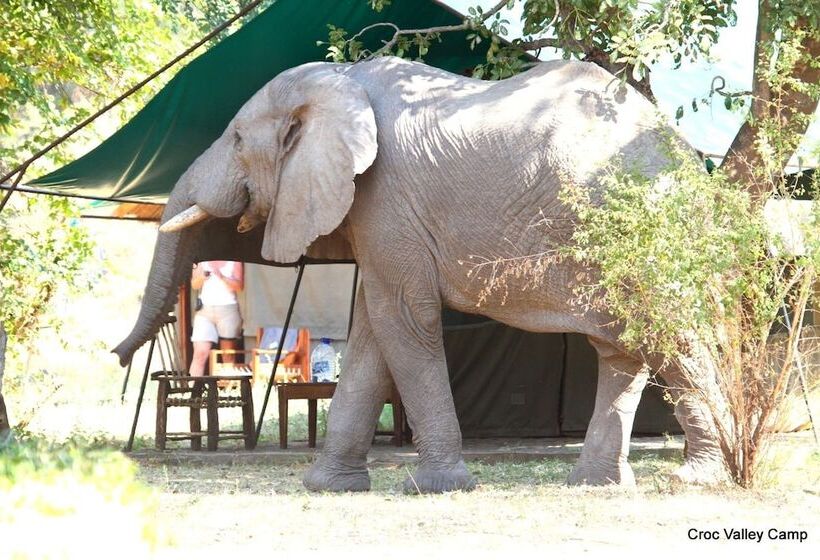 호텔 Croc Valley Camp