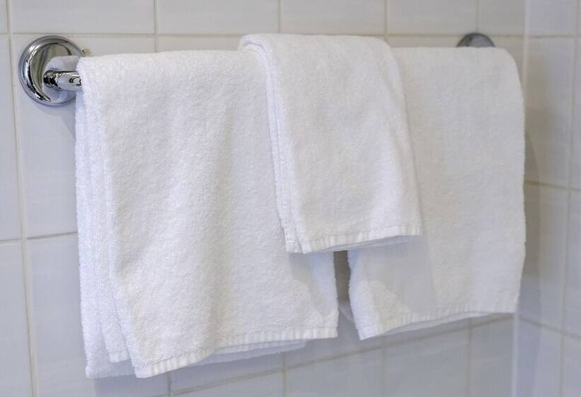 בית מלון כפרי Eems