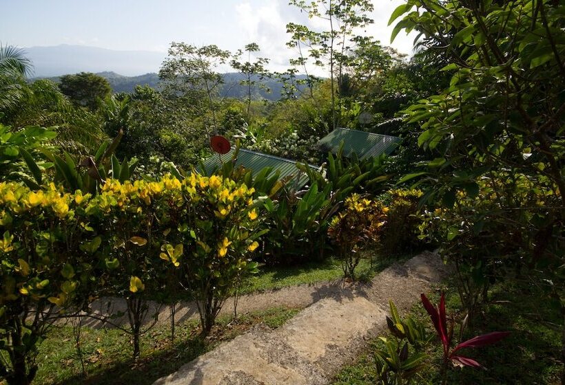 فندق El Mirador Osa