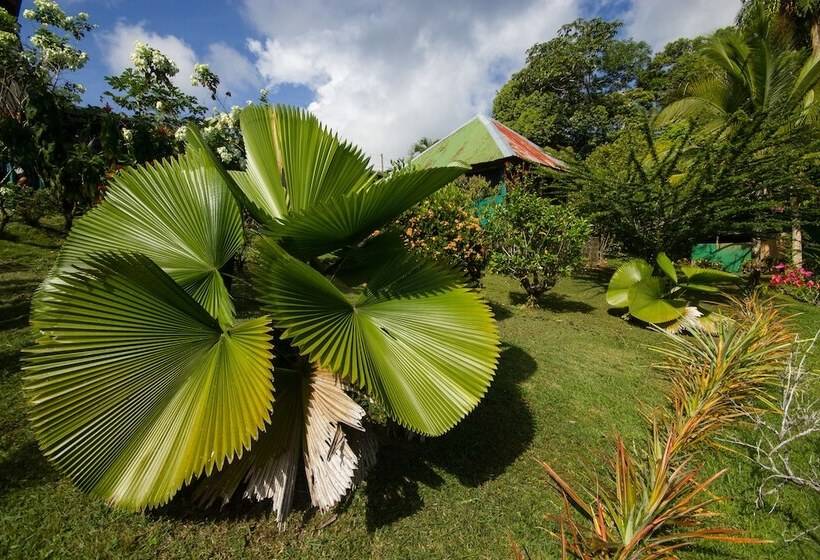 فندق El Mirador Osa