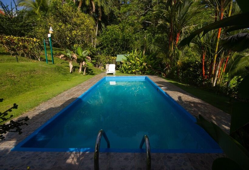 فندق El Mirador Osa