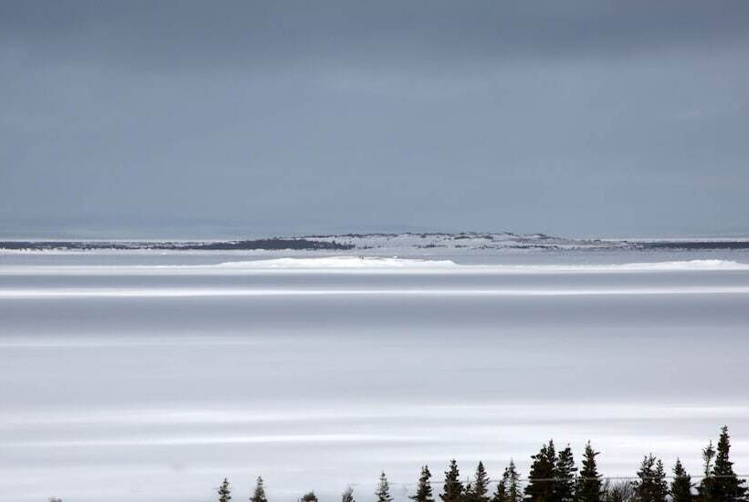 호텔 Genevieve Bay Inn