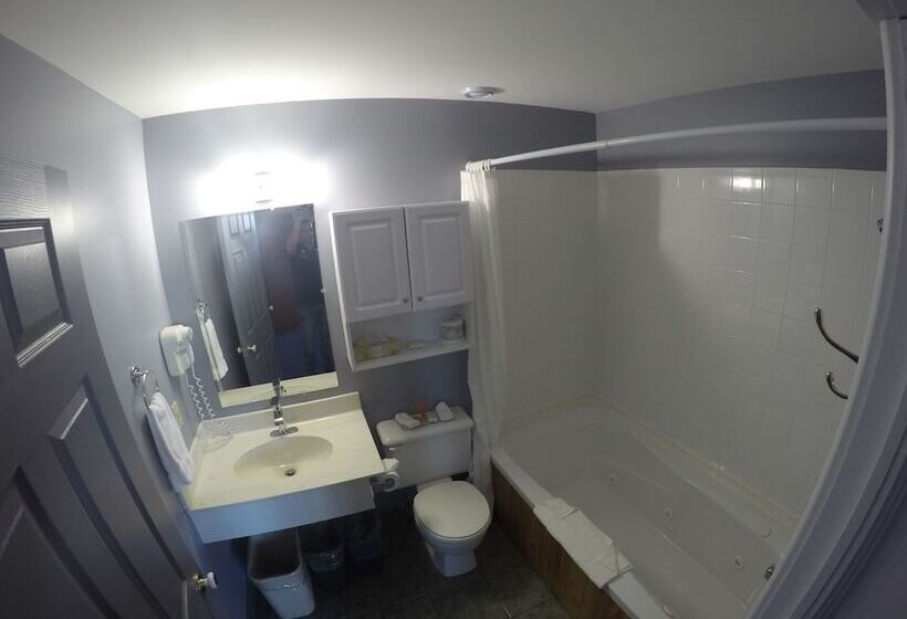 فندق Inn At The Pier