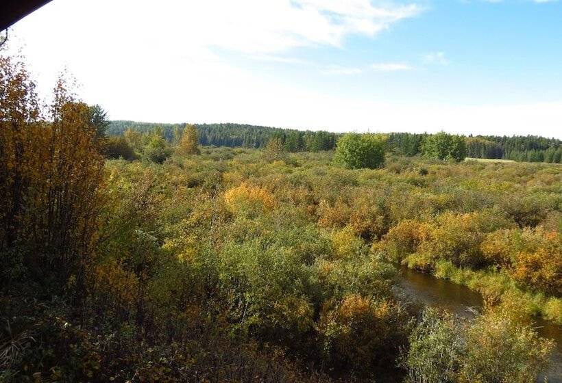Szálloda Lazy M Lodge