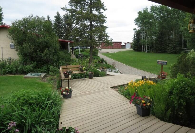 Szálloda Lazy M Lodge