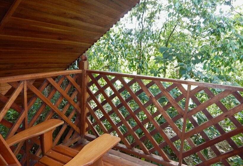 酒店 Los Quetzales Ecolodge & Spa