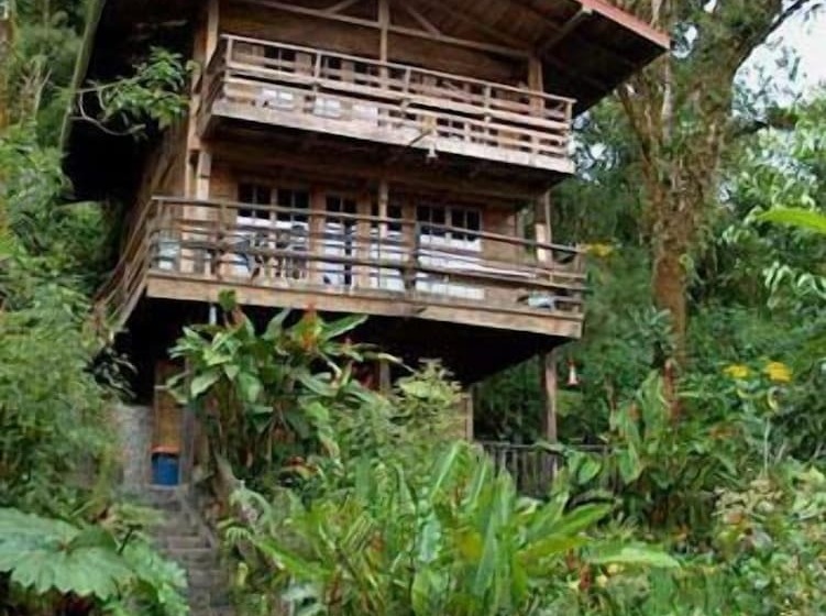 בית מלון כפרי Los Quetzales Ecolodge & Spa