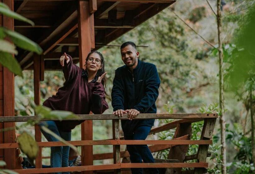 酒店 Los Quetzales Ecolodge & Spa