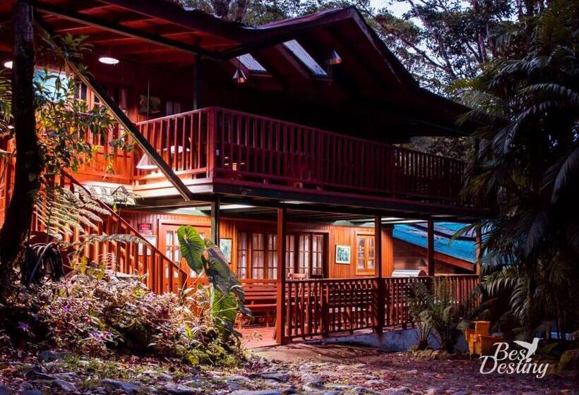 酒店 Los Quetzales Ecolodge & Spa