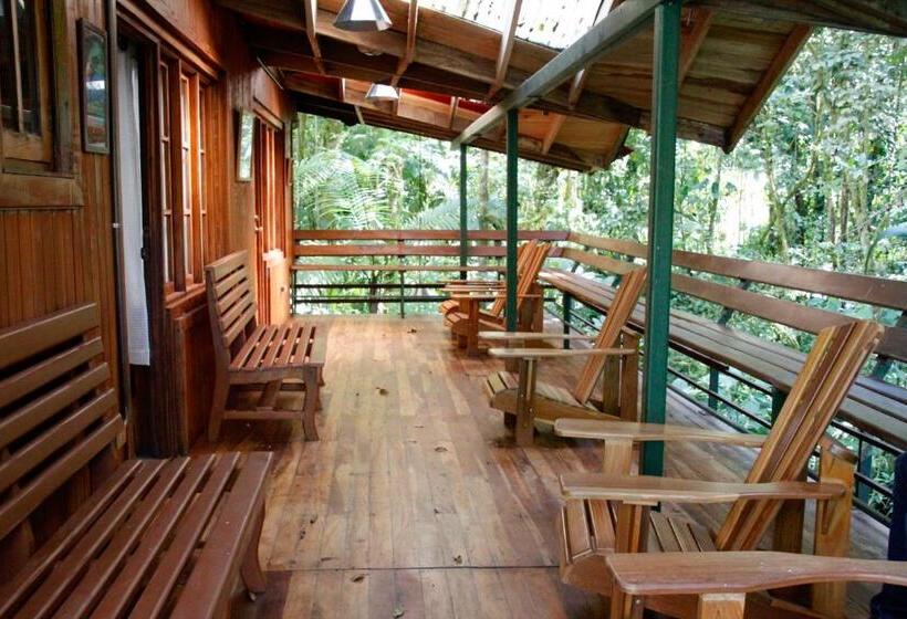 酒店 Los Quetzales Ecolodge & Spa