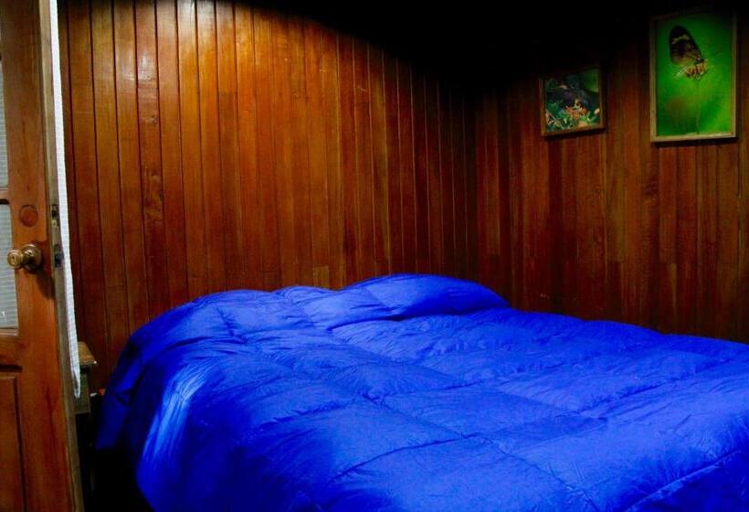 酒店 Los Quetzales Ecolodge & Spa