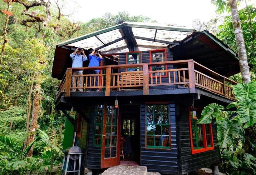 酒店 Los Quetzales Ecolodge & Spa