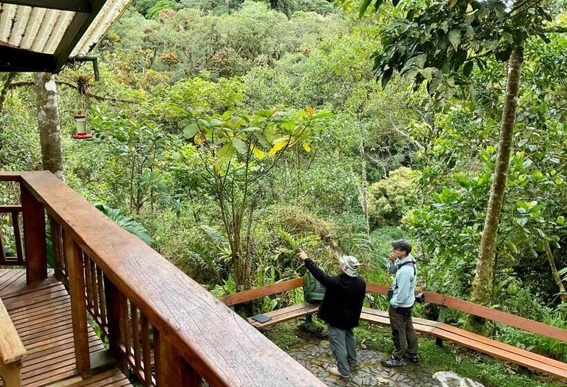 酒店 Los Quetzales Ecolodge & Spa