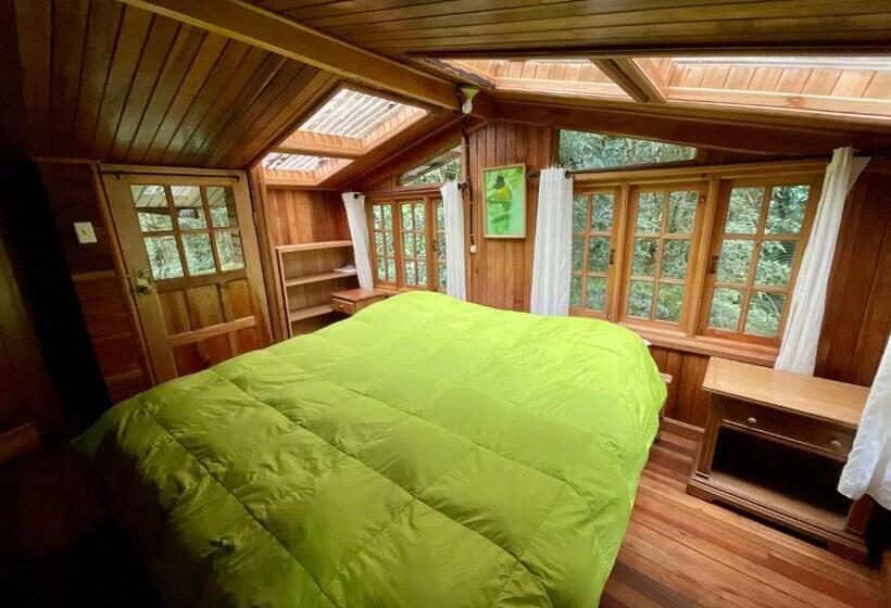 酒店 Los Quetzales Ecolodge & Spa