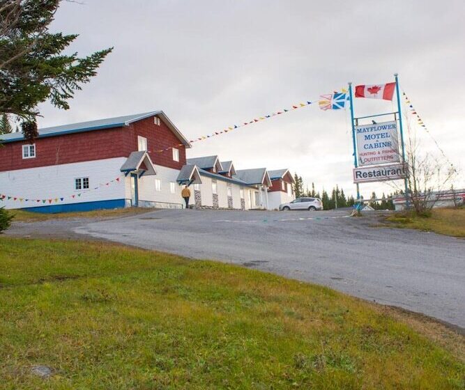 ホテル Mayflower Inn And Adventures