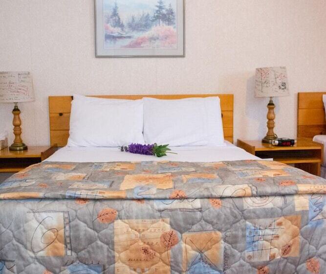 酒店 Mayflower Inn And Adventures